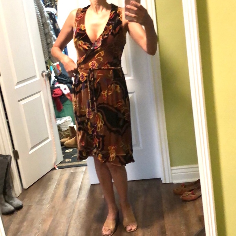 6 Anthropologie Velvet Silk Floral Ruffle Dress